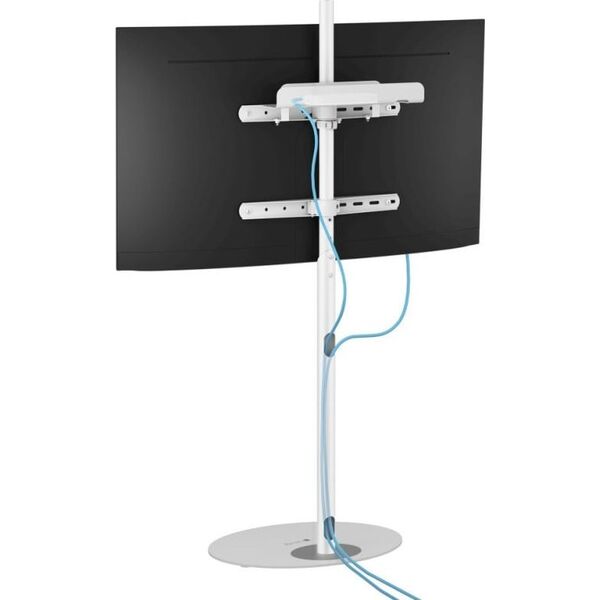 Techly Stojak podłogowy TV 32"-65" do 35kg regulowany biały