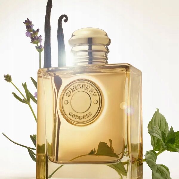 Burberry Burberry Goddess Intense edp 100ml 14103915 3616304967122