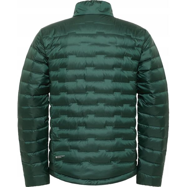 Kurtka męska Jack Wolfskin Jack Wolfskin Passamani Down M Jacket A61836-4161 Zielone L 14121386 4064886338875