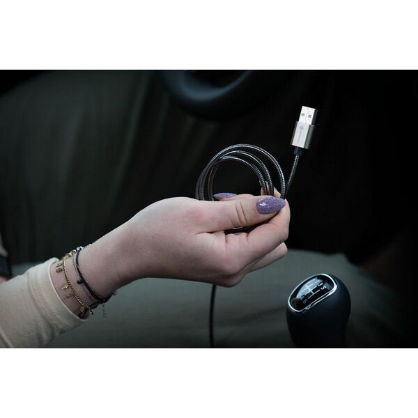 Kabel USB ForCell FORCELL F-ENERGY Metal C236 kabel USB A do Lightning 2,4A 12W 1 m srebrny 14150552 5903396274497