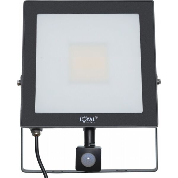 Naświetlacz Loyal Lighting LAMPA Zew. LED Loyal Lighting 7200lm LUMILEDS IP65 4K sensor one size 14217196 5906721171041