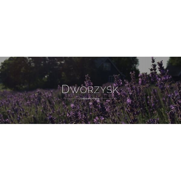 Dworzysk Dworzysk - Na Zdrowie - Herbata sypana 50g 14233532 5901122626138