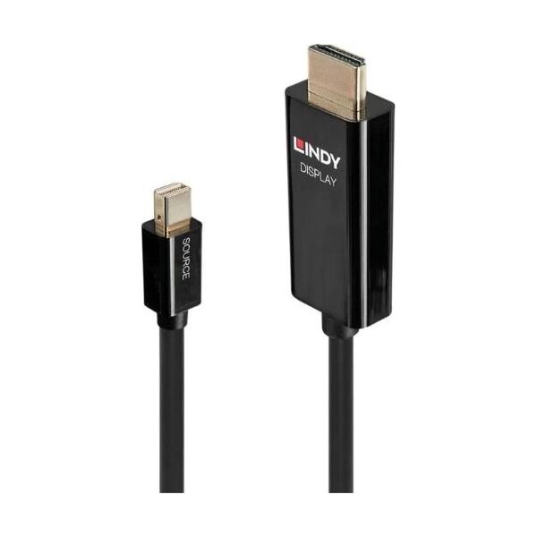 Kabel Lindy DisplayPort Mini - HDMI 0.5m czarny (40910)