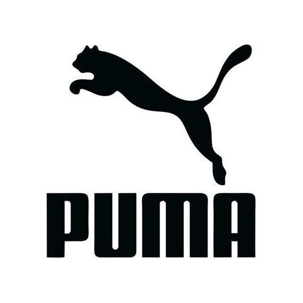 Puma Koszulka męska Puma Basic 2p Crew Tee biała 935016 02 XL