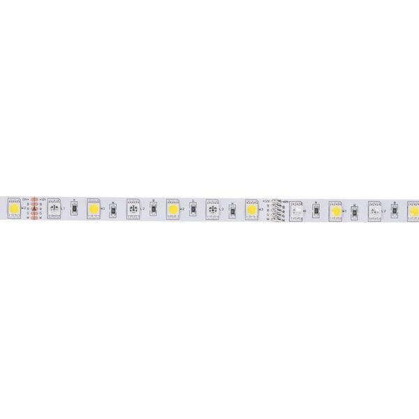 Taśma LED Prescot Prescot PR024-100-10-RGB+NW taśma LED biała