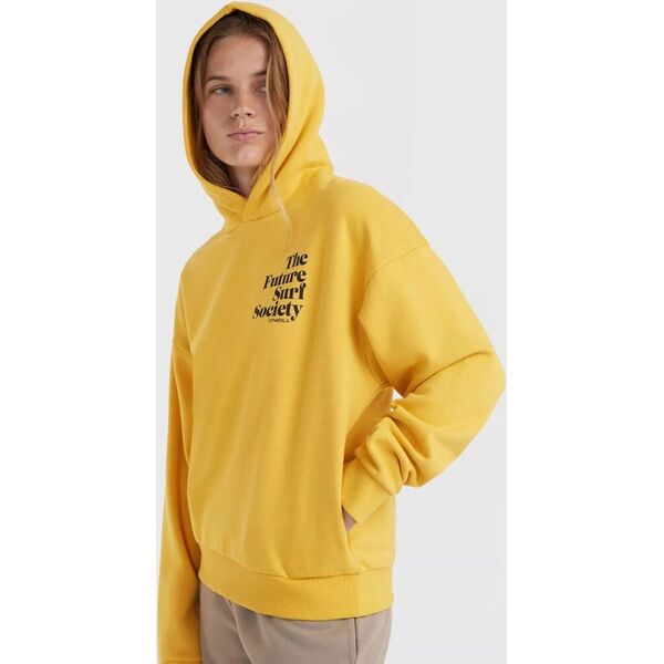 O Neill Damska Bluza FUTURE SURF SOCIETY HOODIE