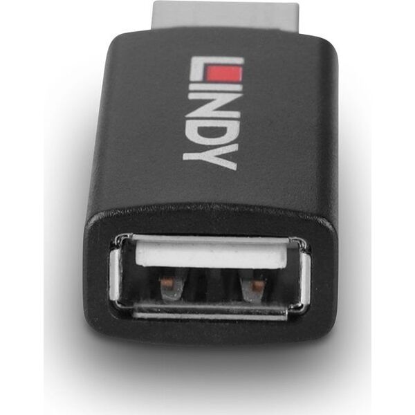 Kabel USB Lindy LINDY USB 2.0 Typ A an A Datenblocker Battery Charging 1.2