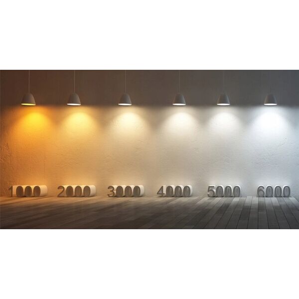 Kinkiet TKKRYWULT Tk Lighting Top 6030 kinkiet plafon lampa ścienna sufitowa spot 1x10W GU10 czarny/złoty