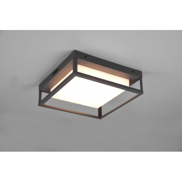 DELIGHT Trio Witham 677860142 plafon lampa sufitowa zewnętrzna IP54 1x14W LED 2300-4000K antracytowy