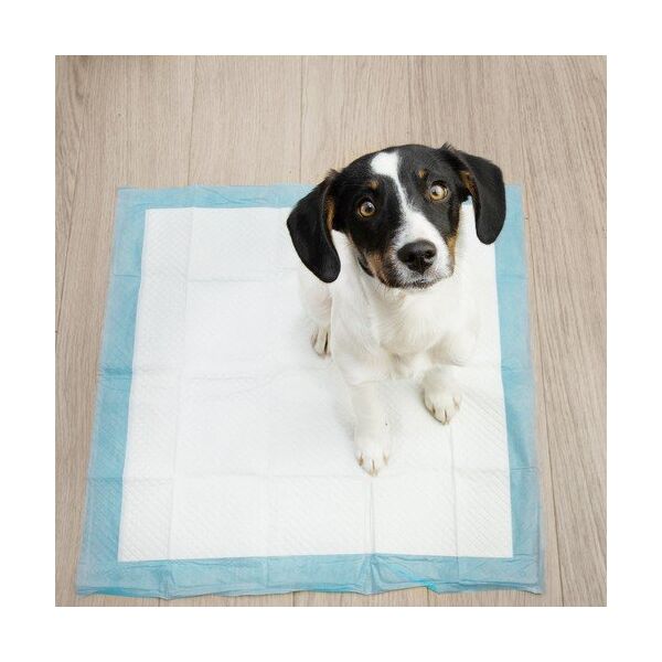 Purlov Podkład higieniczny 60x60cm 100szt. Purlov 21601