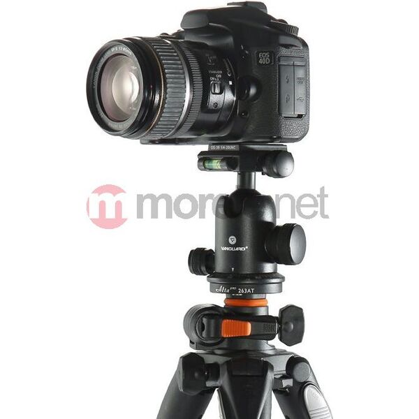 Statyw Vanguard Alta Pro (263AB100)