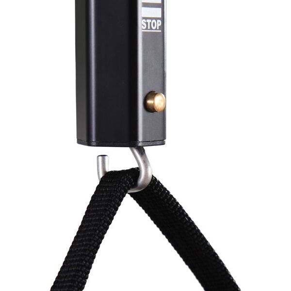 Statyw Vanguard Alta Pro (263AB100)