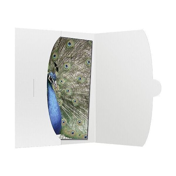 Daiber koperty na zdjęcia 15x20, 50 sztuk (09021)
