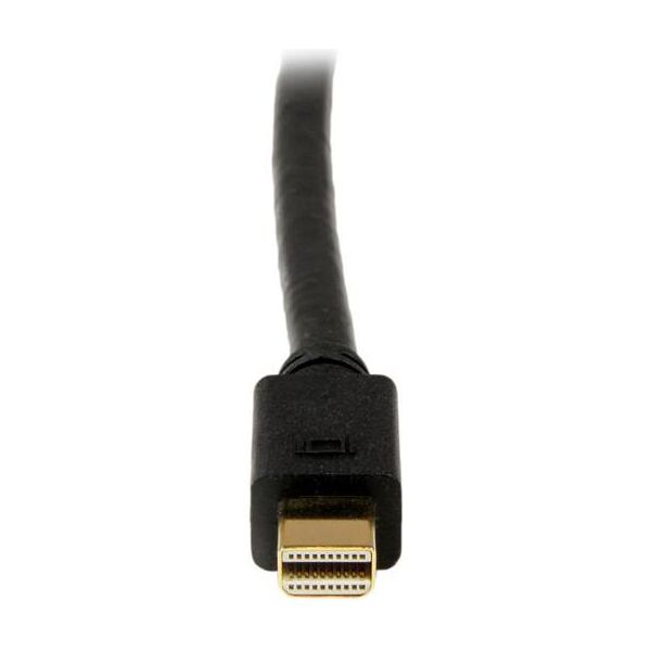 Kabel StarTech DisplayPort Mini - DVI-D 2m czarny (MDP2DVIMM6B)