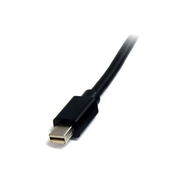 Kabel StarTech DisplayPort Mini - DisplayPort Mini 2m czarny (MDISP2M)