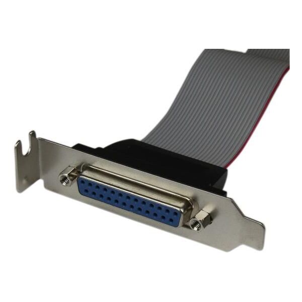 StarTech DB-25 - IDC-26, 0.4m, Szary (PLATE25F16LP)