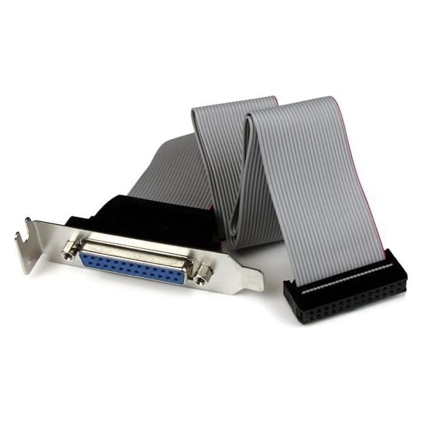 StarTech DB-25 - IDC-26, 0.4m, Szary (PLATE25F16LP)