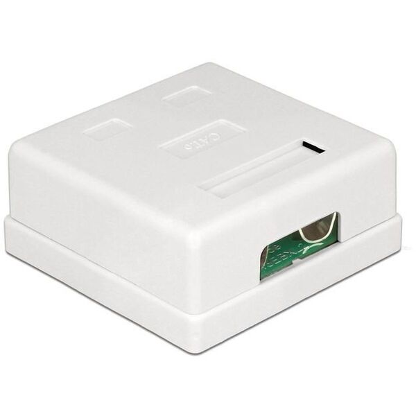Delock Modular Wall Outlet 2 Port Cat.6 (86269)