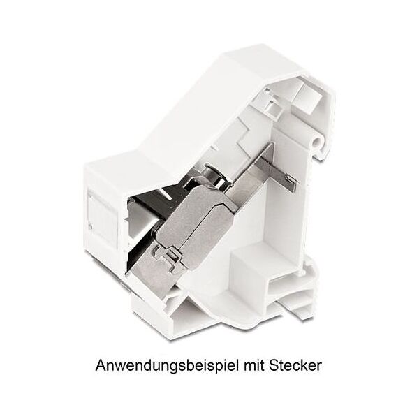 Delock DELOCK Keystone holder for DINrail with earthing - 86232
