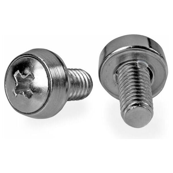 StarTech Zestaw śrubki M6 x 12mm/podkładki - 100kpl. Srebrne (CABSCREWSM62)