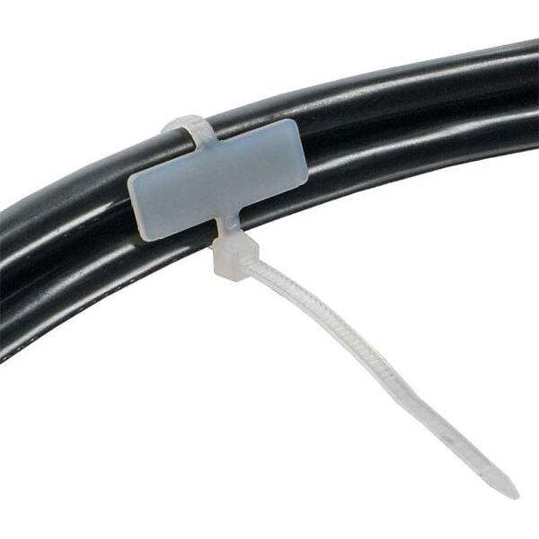 Organizer InLine Opaska zaciskowa Biały 100 sztuk  (59967A)
