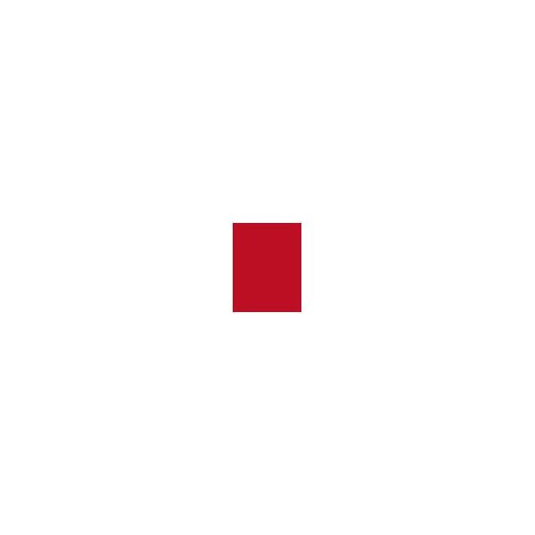Shiseido Vailed Rouge pomadka do ust RD506 2,2g