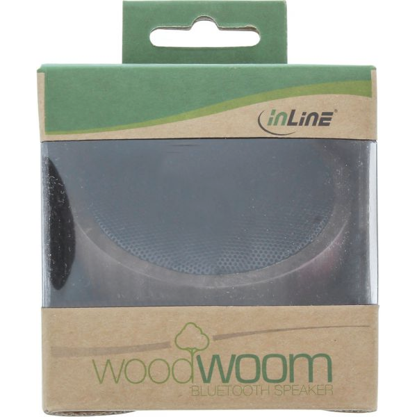 Głośnik InLine Woodwoom brązowy (55380H)