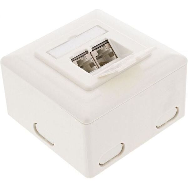 InLine Gniazdo Cat.6 ścienne, 2x RJ45, biały (75602K)