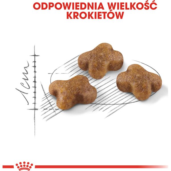 Royal Canin Kitten karma sucha dla kociąt od 4 do 12 miesiąca życia 10 kg