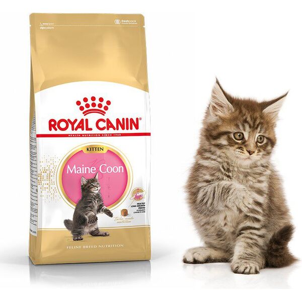 Royal Canin Maine Coon Kitten karma sucha dla kociąt, do 15 miesiąca, rasy maine coon 2kg