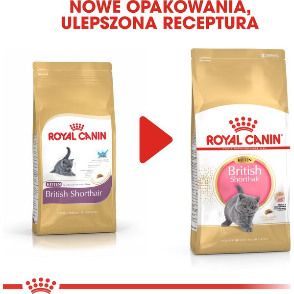 Royal Canin British Shorthair Kitten karma sucha dla kociąt, do 12 miesiąca, rasy brytyjski krótkowłosy 2kg