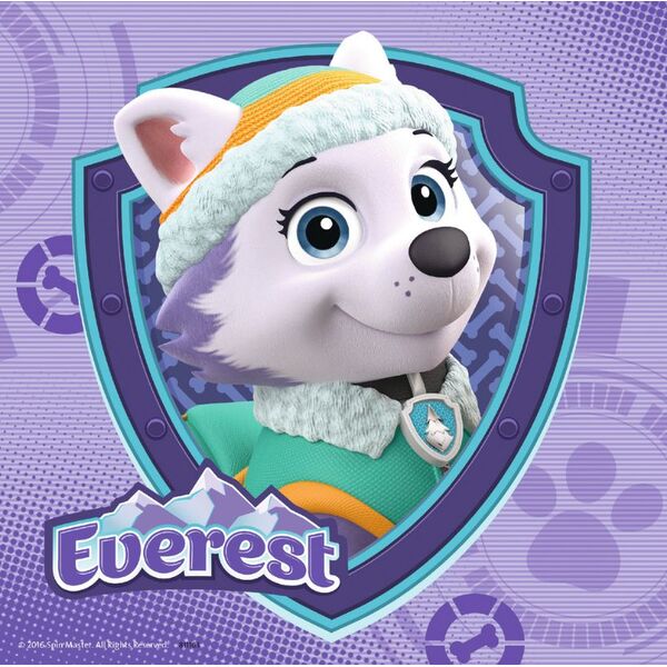 Ravensburger Puzzle 3x49 Psi Patrol Sky&Everest (080083)