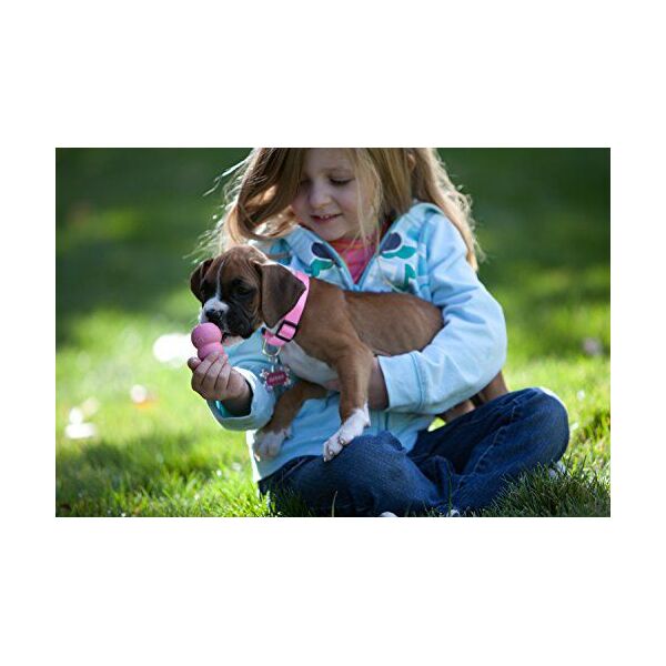 KONG Puppy Small 7cm