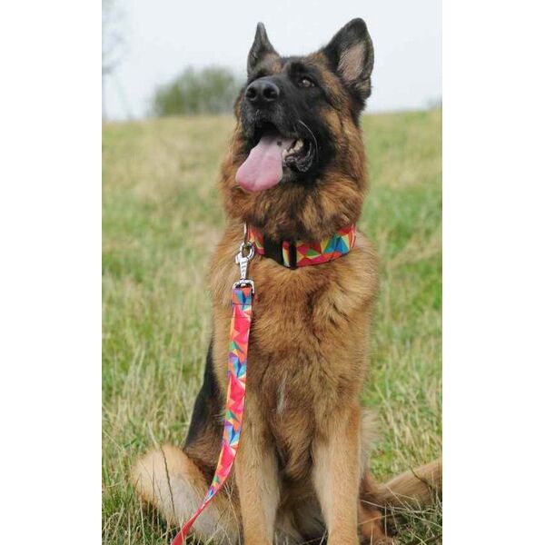 Dingo Obroża regulowana America-Kolorado 2 x 45 cm (23-40 cm) kalejdoskop