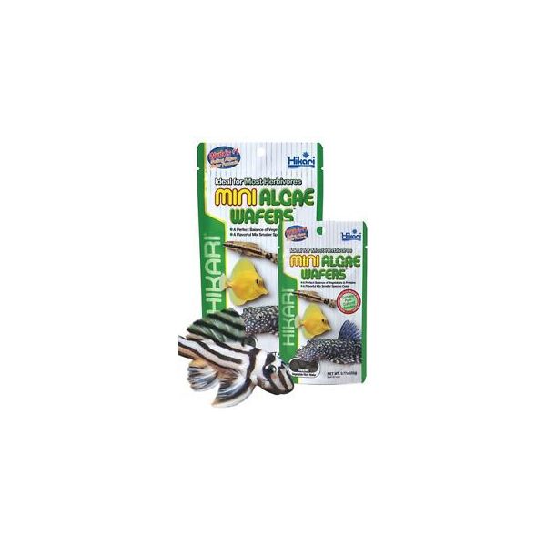 HIKARI MINI ALGAE WAFERS 22 G