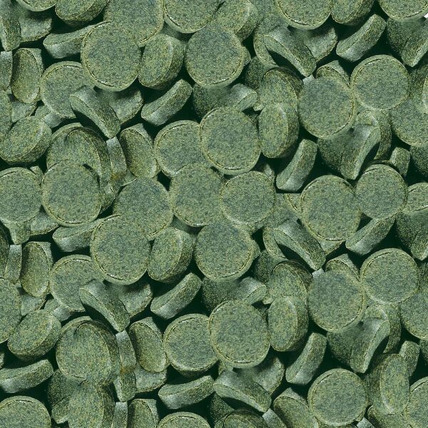 Sera SPIRULINA TABS 24 tabl
