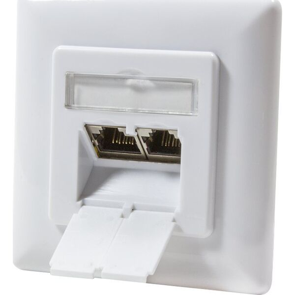 LogiLink LogiLink Cat.6A Anschlussdose, 2x RJ45,weiß, waagerecht - NP0123