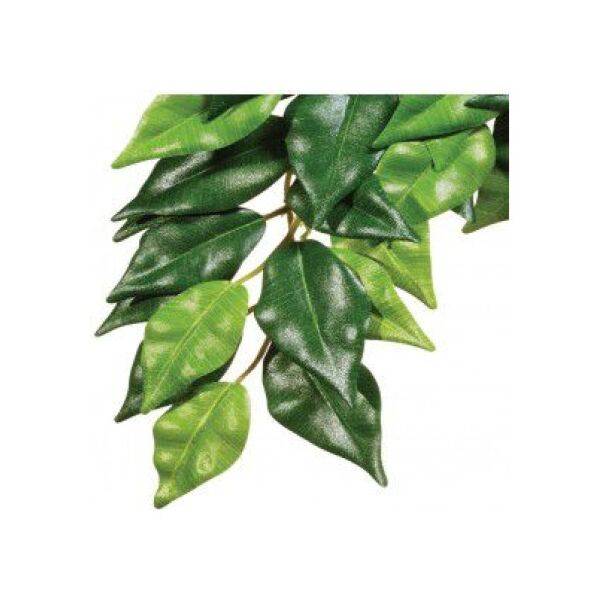 Hagen EXOTERRA ROŚLINA FICUS S