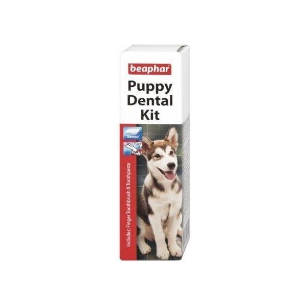 Beaphar PUPPY DENTAL KIT PASTE&BRUSH 50g pasta+szczoteczka