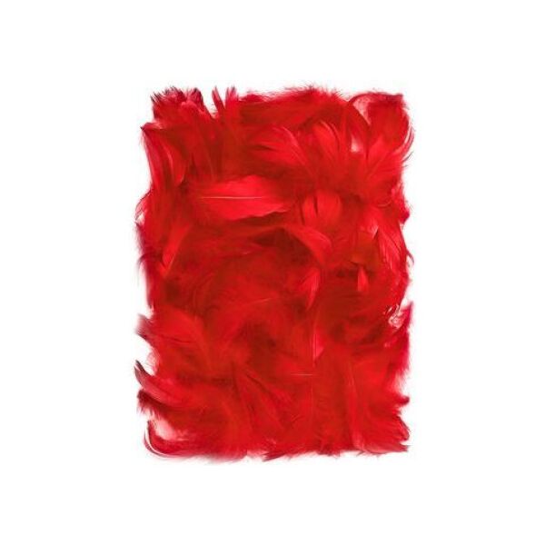 DP Craft PiĂłrka dekoracyjne 5-12 cm Red CEPI-015