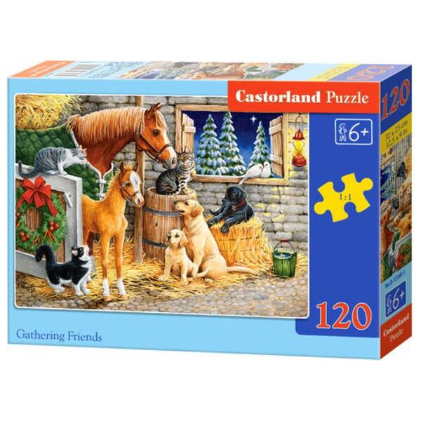 Castorland Puzzle Gathering Friends 120 elementów (241110)