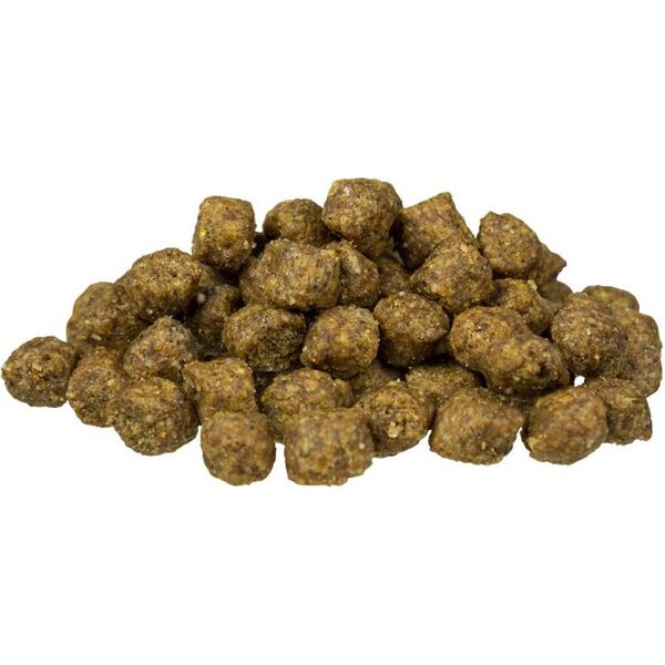 Bosch Tiernahrung Mini Adult Lamm & Reis - Jagnięcina i ryż 15kg