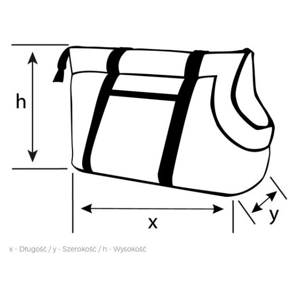 Ami Play Torba transportowa Aspen S 35x21x24 cm Czarny