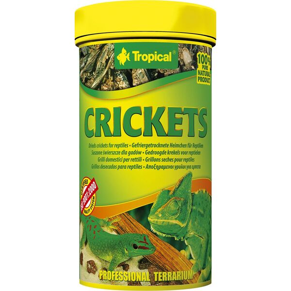 Tropical CRICKETS 100ML (29549)