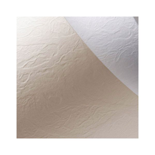 Argo Papier ozdobny Galeria Papieru skóra krem A4 230g