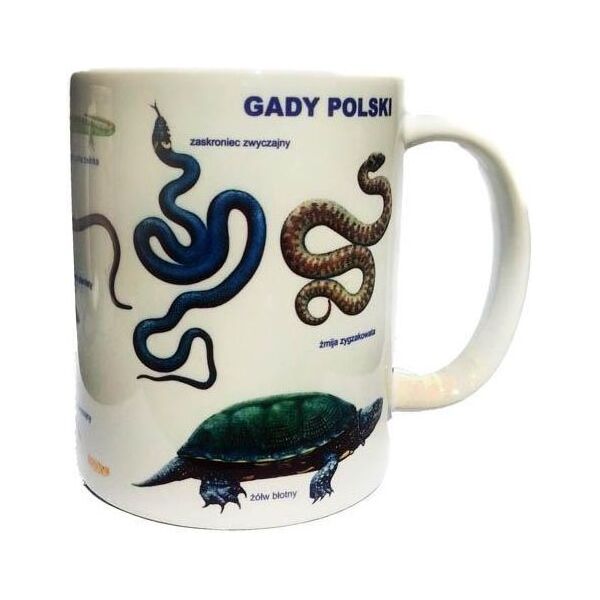 Soliton Kubek Gady