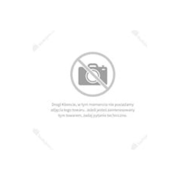 Tryton Tarcze diamentowe 125mm do pilarki dwutarczowej TPD860K - EATPD02