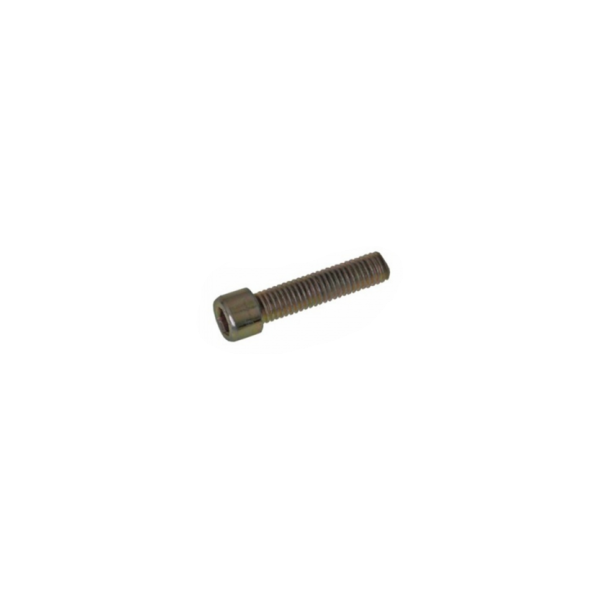 Dedra Nasadka grzejna 63 mm ze śrubą - DED751663