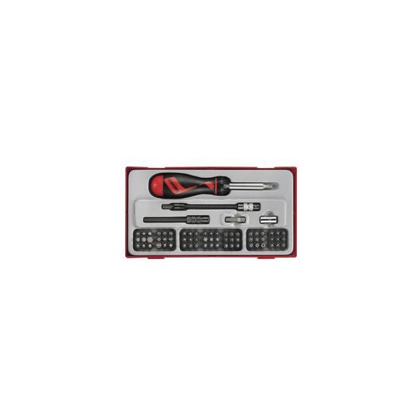 Teng Tools Zestaw wkrętaka z grotami wymiennymi 74 elementy (14403-0103)