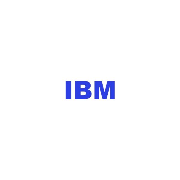 Dysk serwerowy IBM 600GB 2.5'' SAS-2 (6Gb/s)  (49Y2005)